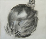 Onion Gallery